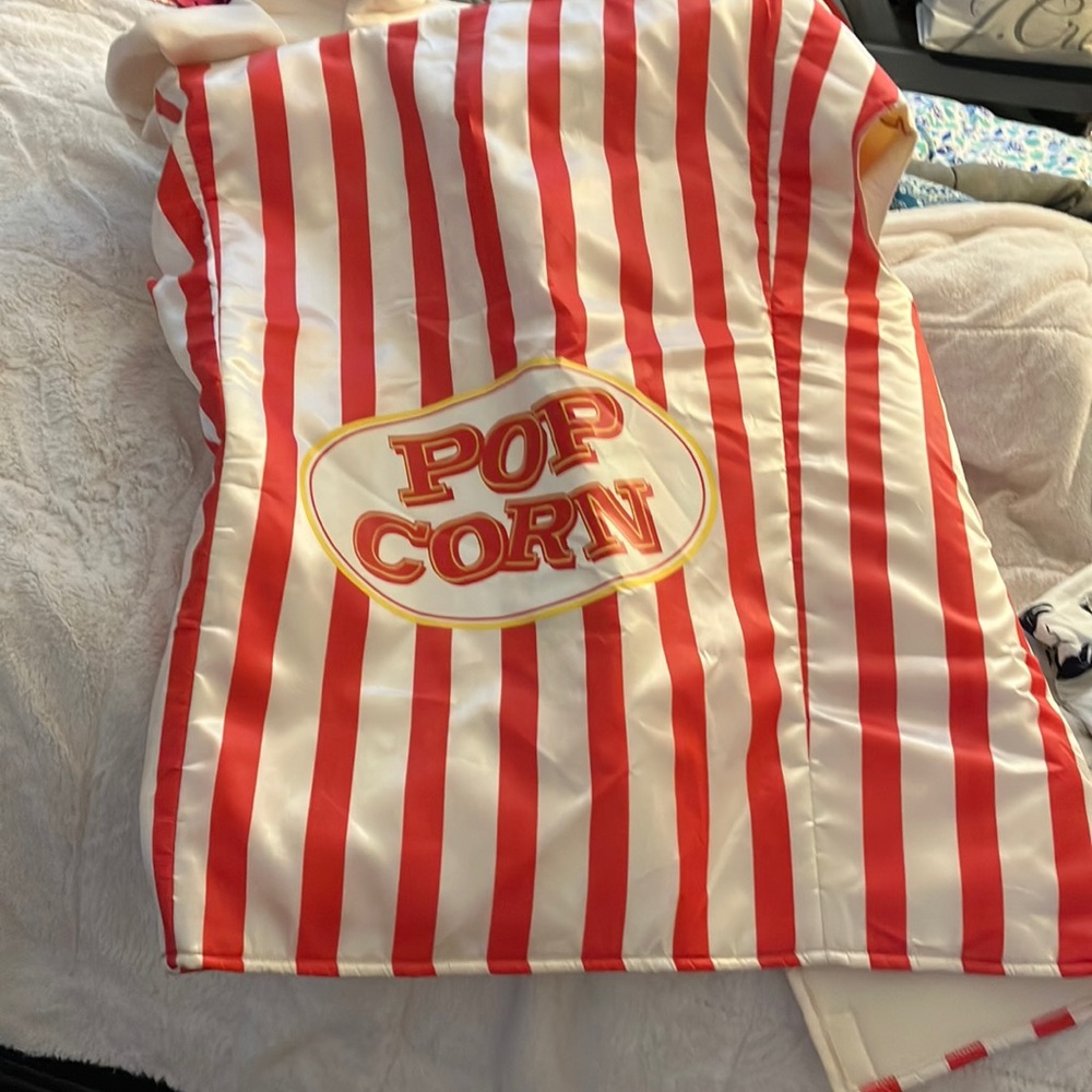 Wishcraft popcorn costume